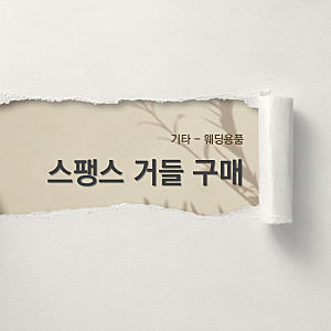 [기타] 웨딩용 스팽스 거들 구매
