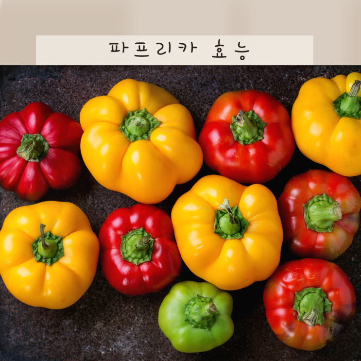 파프리카 효능 8가지, 파프리카 색깔 별 알아보자(빨간 노랑 초록 주황)