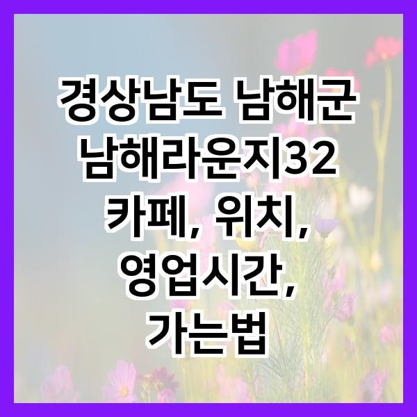 사진 4