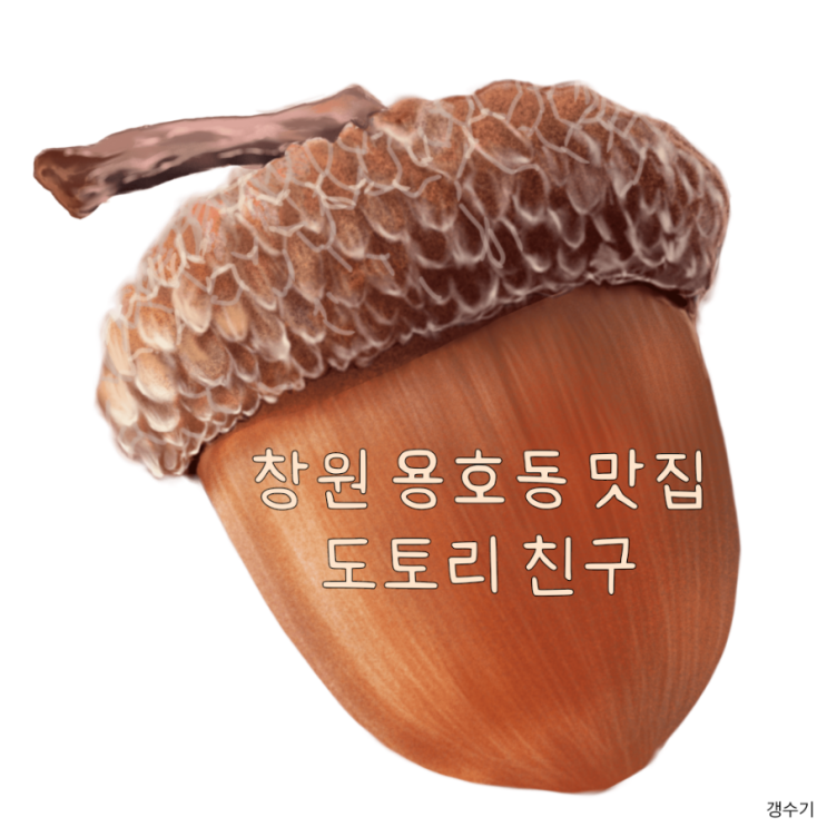  창원 용호동_가로수길 이름부터 귀여운 도토리친구 수제비 맛집