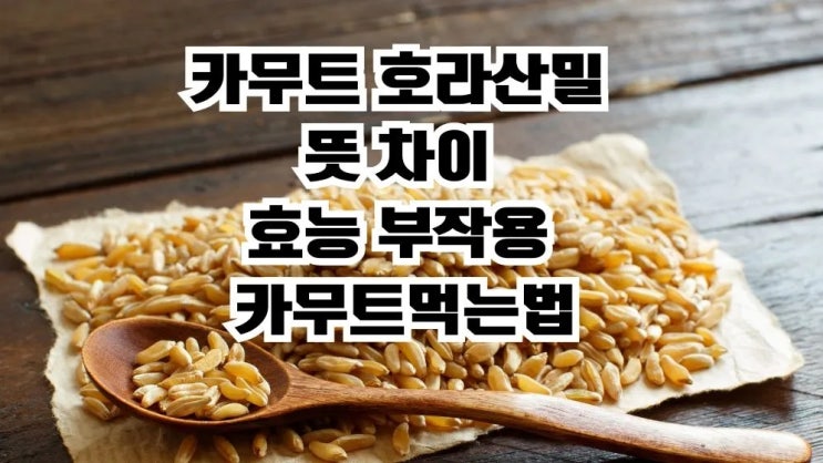 카무트 호라산밀 뜻 차이 효능 부작용 카무트 먹는법