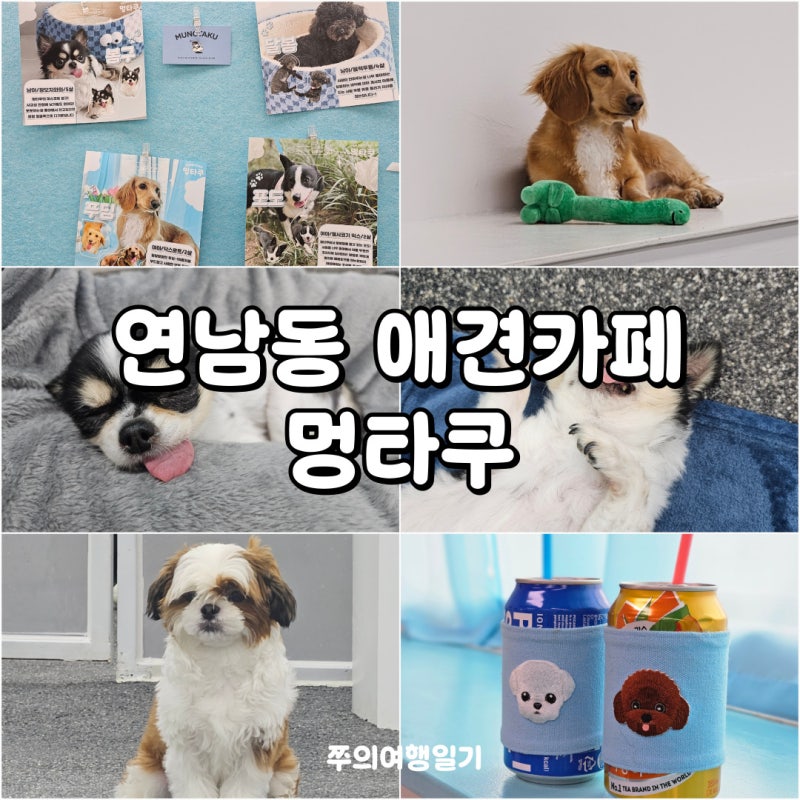 사진 2