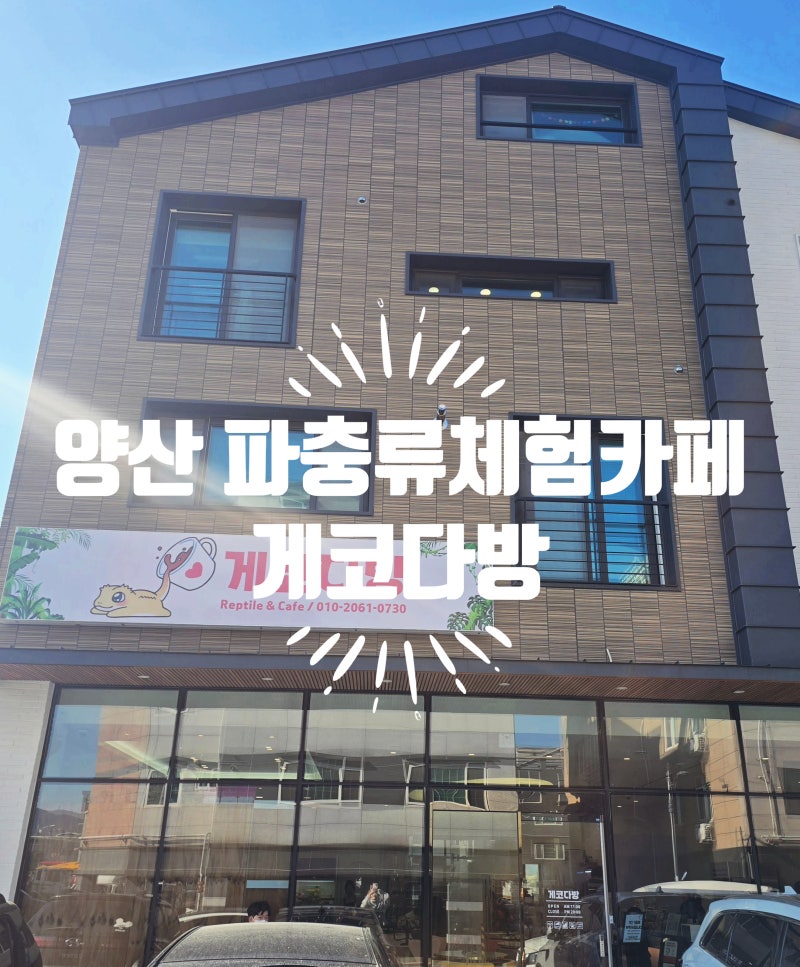 경남 양산 파충류 체험 카페 게코 다방