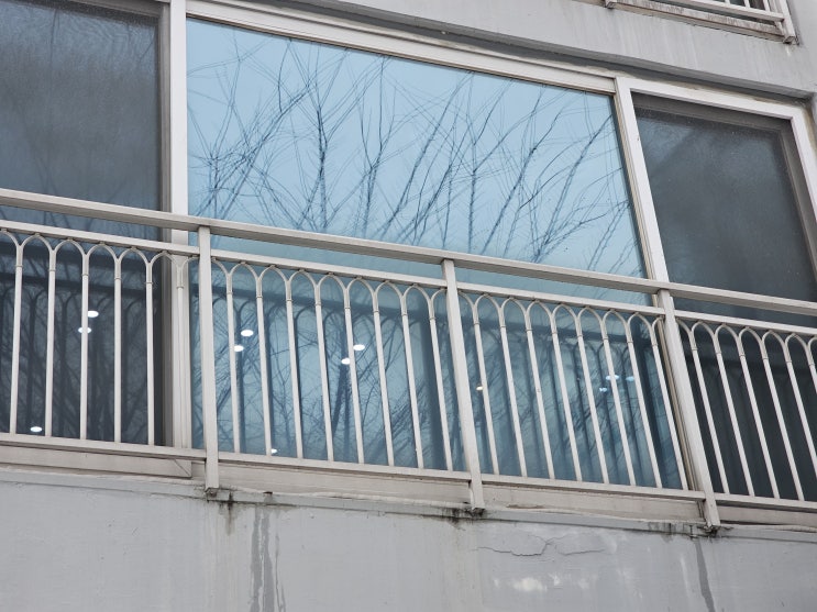  곤지암 아파트 창문에 딱! 시선차단필름 시공 후기