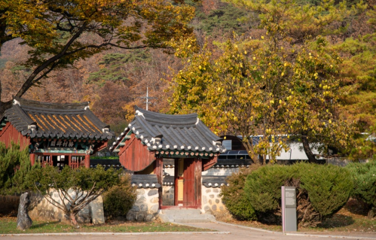  [국내 여행지 추천] 반값으로 즐기는 영월 기차여행, 여행 코스 추천 [한국철도일보]