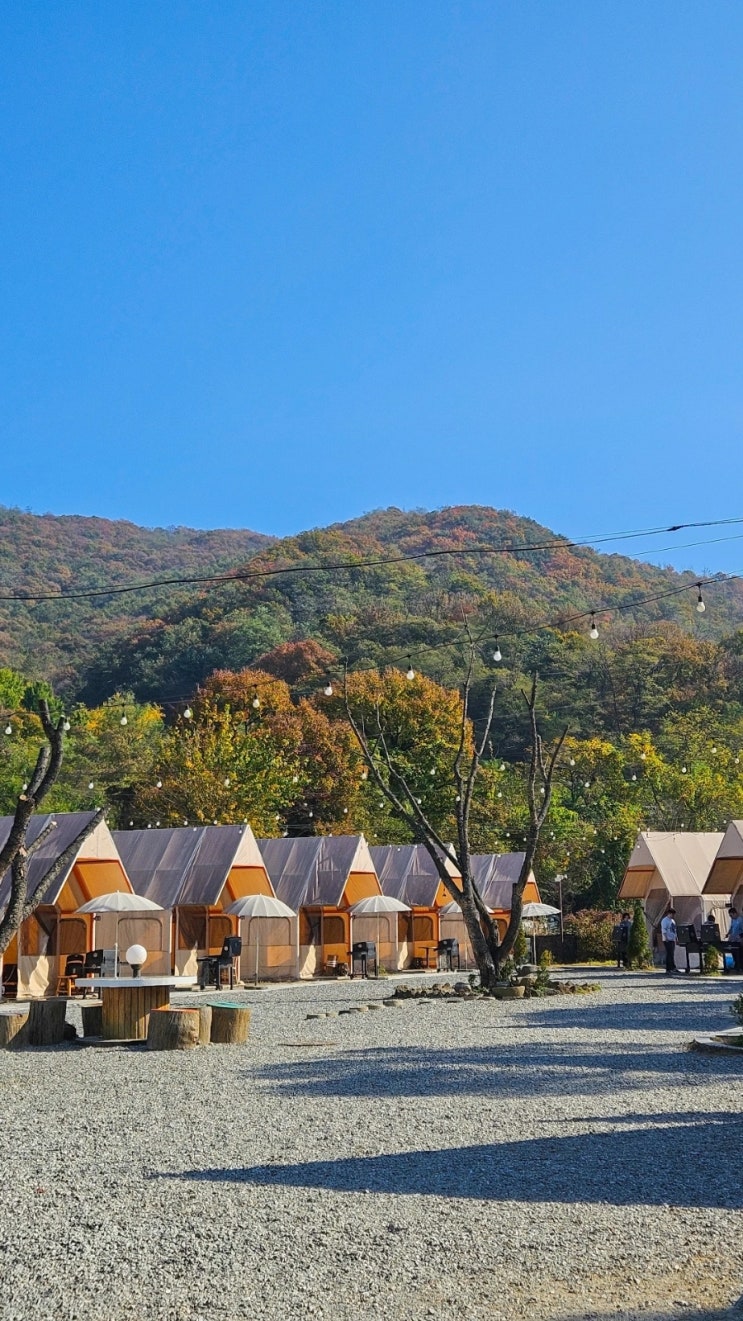  서초바글, 서울글램핑 당일치기, 서초바베큐장