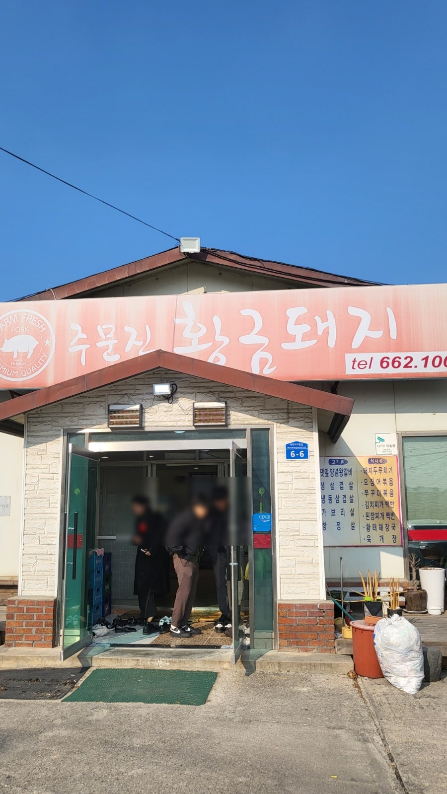 주문진황금돼지 사진 2
