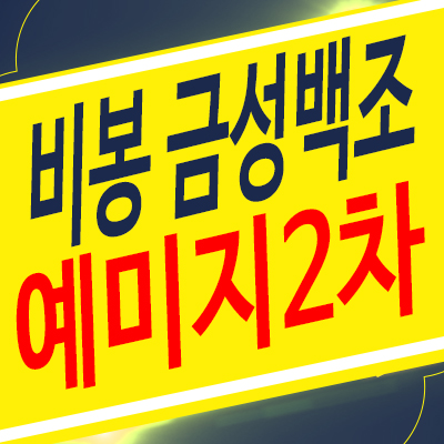 화성비봉지구B1블록 금성백조예미지2차 미분양