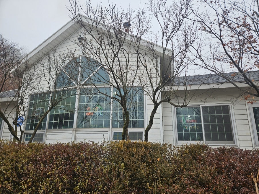 유월의아침 사진 4