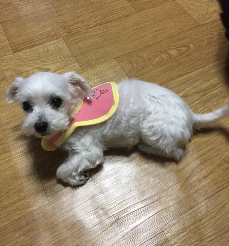  이게 뭐냐면(3)