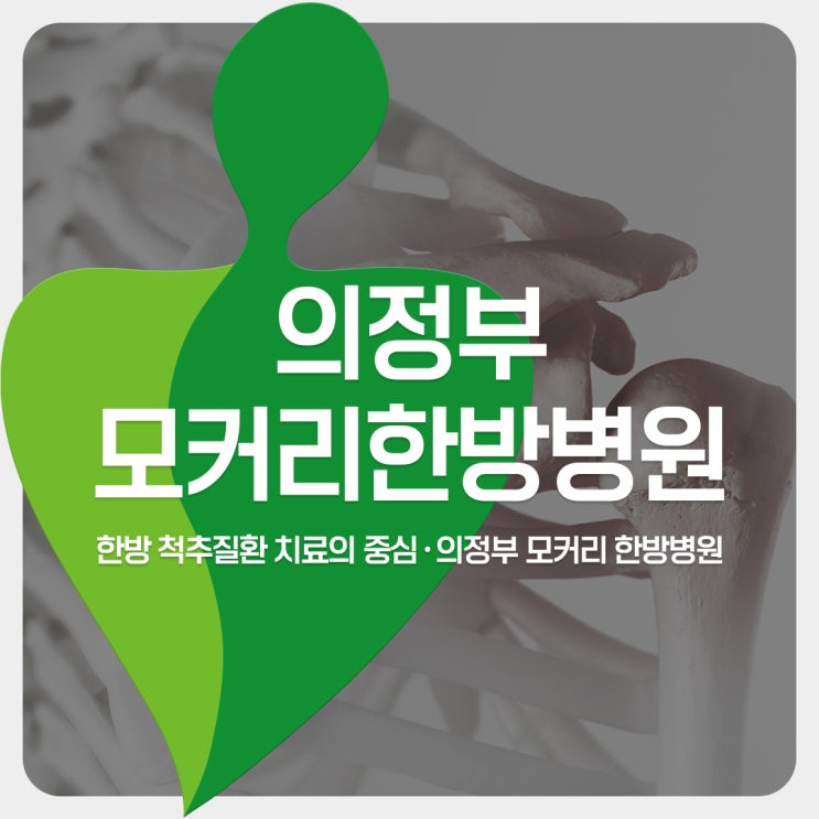  양주 의정부어깨통증과 견갑골의 움직임