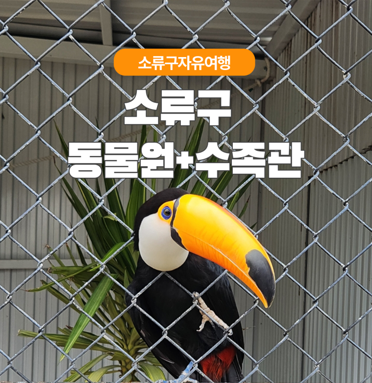  2일차 대만 소류구 볼거리 즐길거리 가득한 수족관 겸 동물원!!
