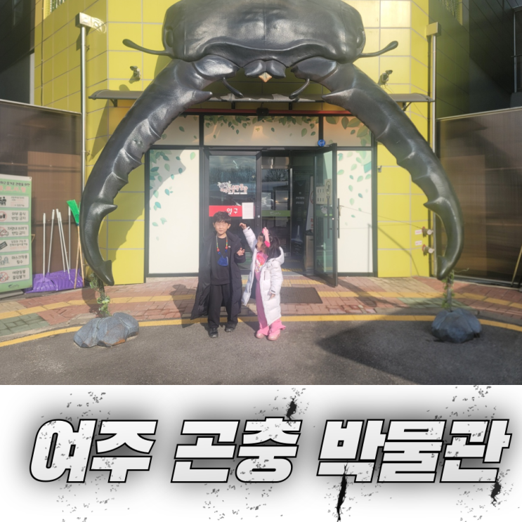  여주곤충박물관 방학 필수 코스! 아이들이 좋아하는 곤충체험