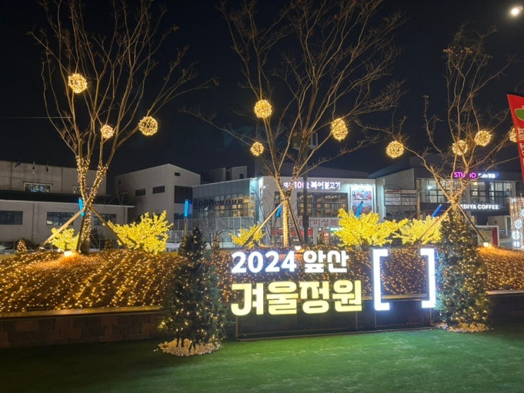  대구 야경 명소 앞산빨래터공원 그리고 주차