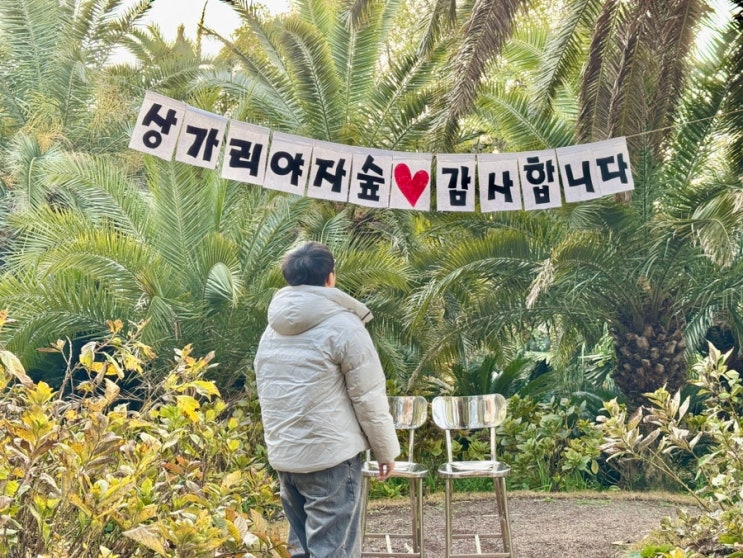  제주 애월 가볼만한곳 상가리야자숲 겨울 주차 입장료 소요시간