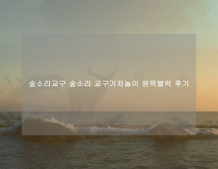  숲소리교구 숲소리 교구기차놀이 원목블럭 후기