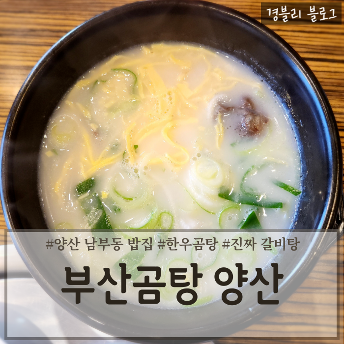  양산남부동밥집 양산곰탕추천 양산시청맛집 '부산곰탕 양산'