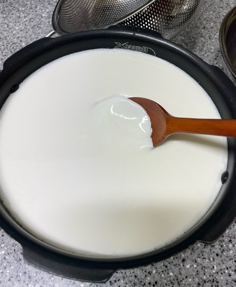 액티비아 지방 0%로 밥솥 그릭 요거트 만들기