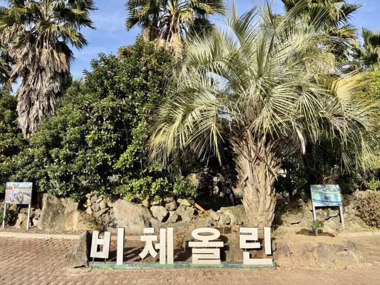  제주도 서쪽 가볼만한 곳 비체올린 트라익 카약파크 입장료