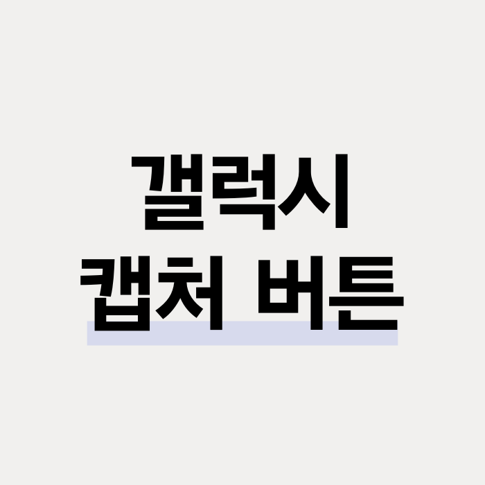  갤럭시 캡쳐 방법 : 하단바에 버튼 추가해서 캡처하는 방법