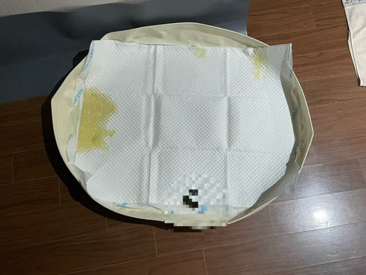  피피 강아지 배변판 내돈내산 사용후기, 솔직리뷰