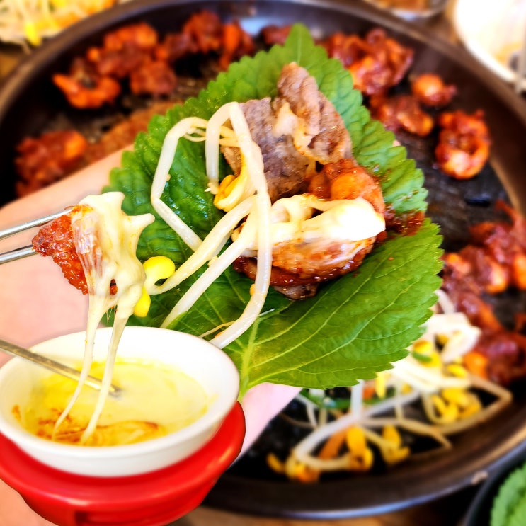  명동역 점심 맛집 명동 차돌박힌 쭈꾸미
