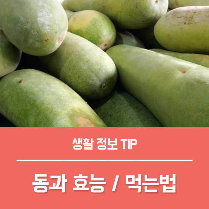  동과 효능 부작용, 동과 먹는법은?