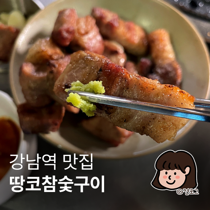  땅코참숯구이 강남역직영점 강남역 고기 맛집