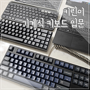 키린이의 기계식 키보드 입문 레오폴드 FC750R PD 저소음 갈축