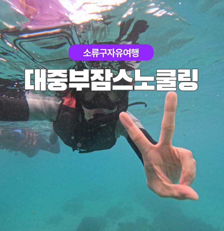  1월 대만 소류구 스노쿨링 거북이보러가자 (대중부잠 가격 인상)