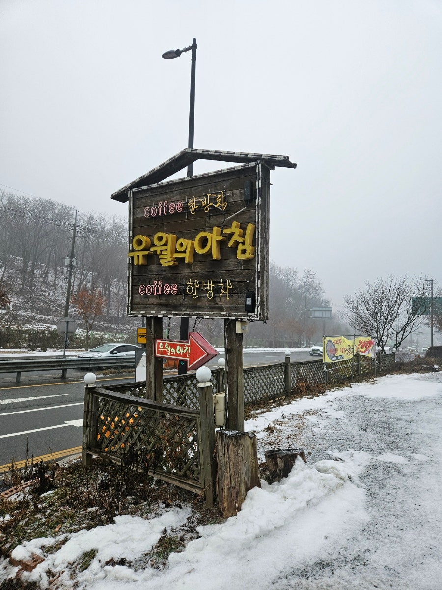 유월의아침 사진 2