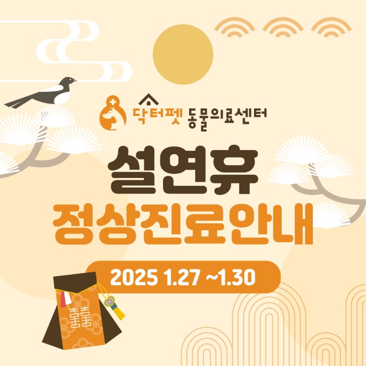  닥터펫동물의료센터 2025년 구정 설 연휴 정상진료 안내 (부산 진구 개금 명절 공휴일 빨간날 일요일 24시 동물병원 강아지 고양이 응급실)