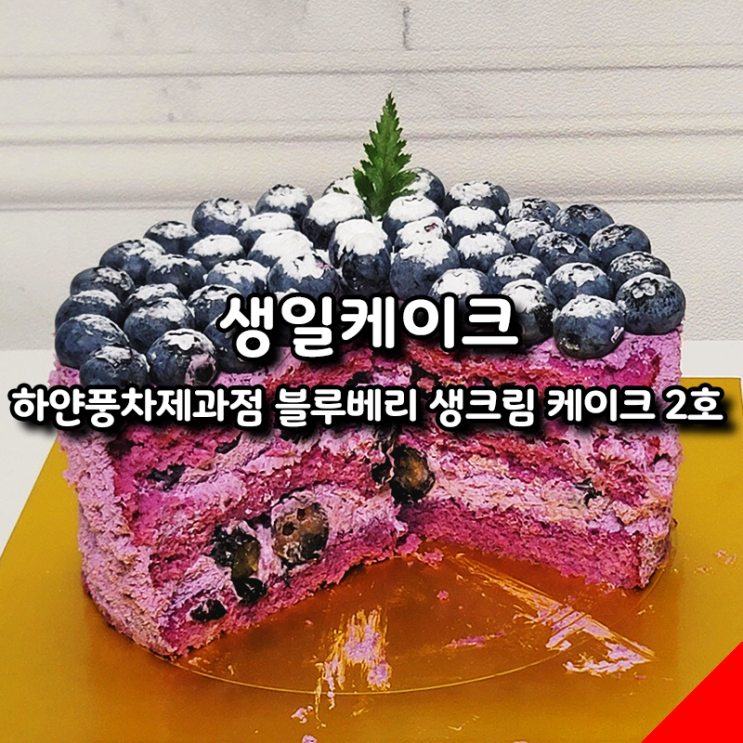  생일 케이크 추천 하얀풍차제과점 블루베리 생크림 케이크 솔직 후기