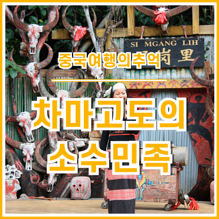  [차마고도] 중국 쿤밍 민속촌에서 만난 소수민족 마을과 공연