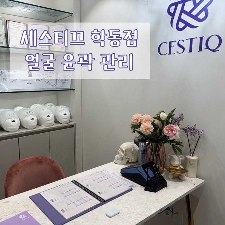  강남경락 마사지 세스티끄 학동점 후기