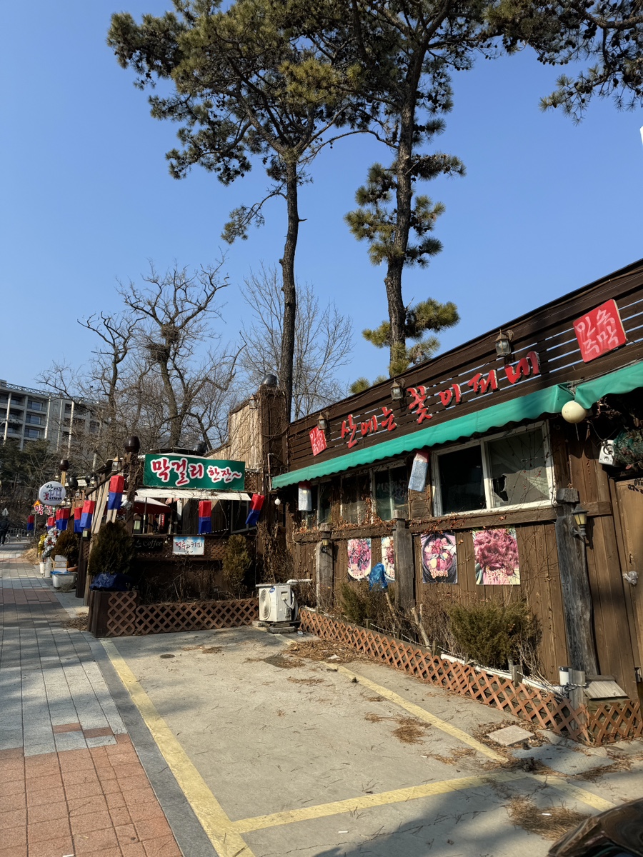 산에는꽃이피네 사진 2