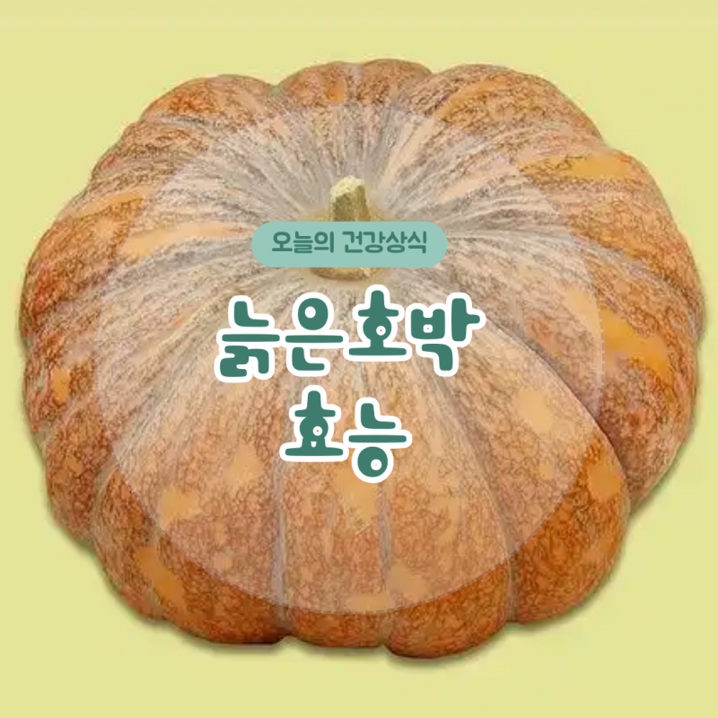 늙은 호박 효능 영양성분 보관법
