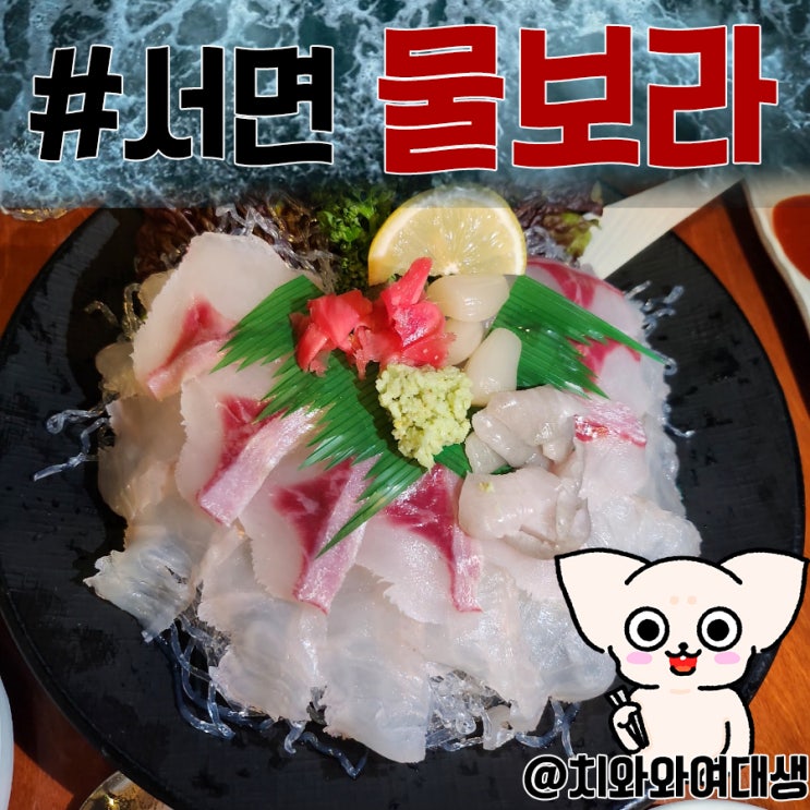  서면 새벽 술집 물보라 해산물 모듬회 파는 곳