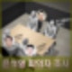 윤석열 체포 후 피의자 조사 이대환 차정현 검사 출신, 고향, 학력, 나이, 주요 사건 등 프로필