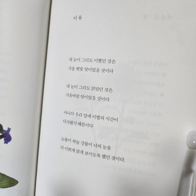  [나태주시인] 이유