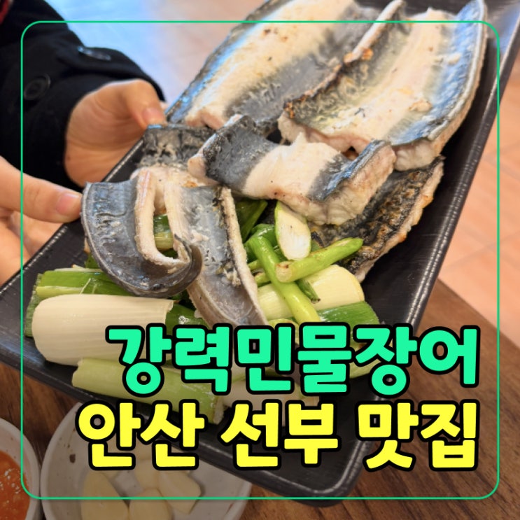  [안산] 선부동장어 맛집 강력민물장어, 참숯으로 구워낸 국내산 자포니카장어!