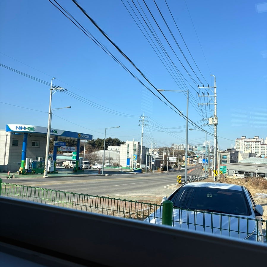 풍년칼국수 사진 6