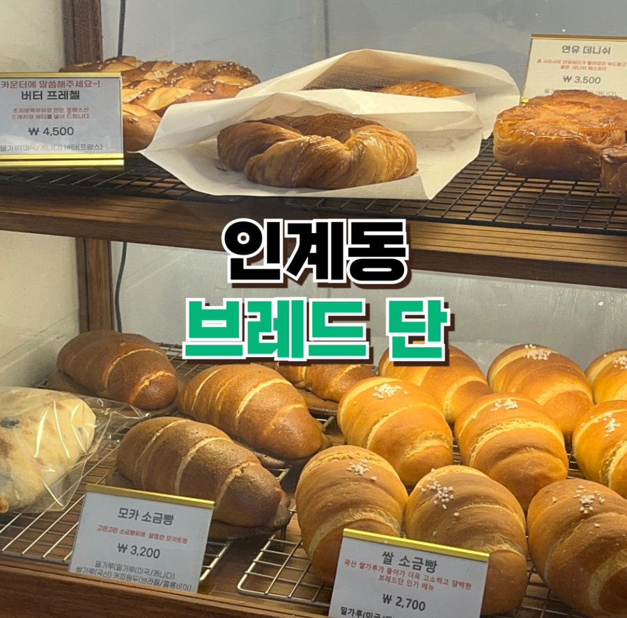 브레드단 사진 1