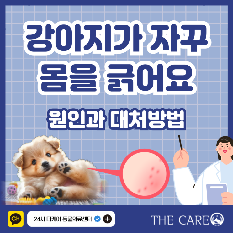  강아지가 몸을 긁어요 자꾸 긁는 이유 원인과 대처방법