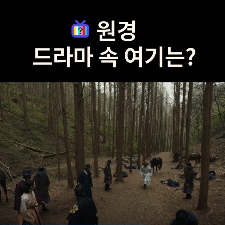  원경이 태상왕의 반란을 막아내는 숲길은? 옥천 화인산림욕장 (드라마 원경 촬영지)