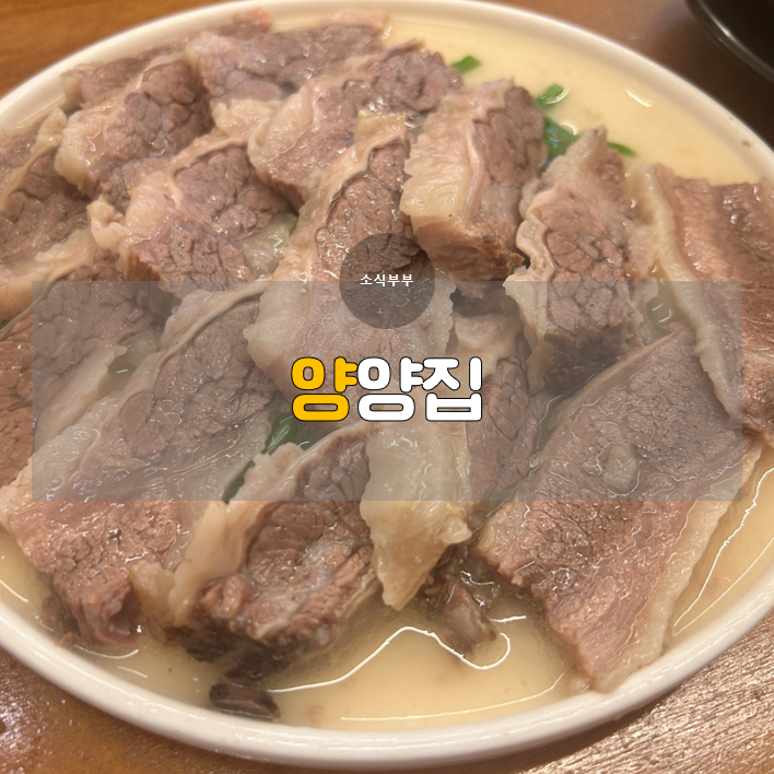  [송파] 석촌맛집, 한우 선지 해장국집 ‘양양집’