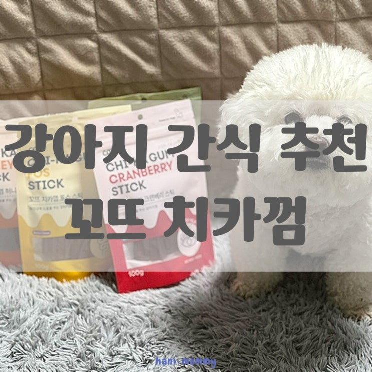 강아지 덴탈껌, 가수분해간식 꼬뜨 치카껌 추천! 강아지 덴탈껌, 가수분해간식 꼬뜨 치카껌 추천!