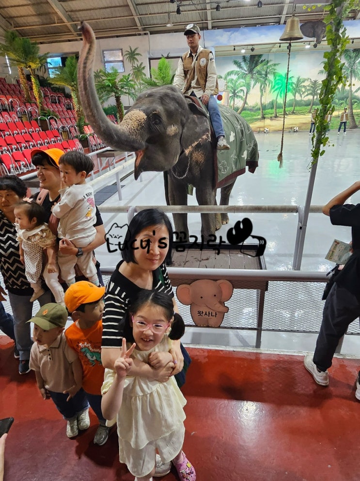  제주도 아이와 함께 제주투어패스 •점보빌리지