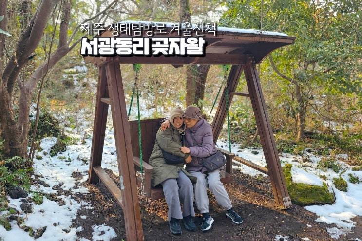  제주 곶자왈 입장료 겨울여행 추천 서광동리 숲길