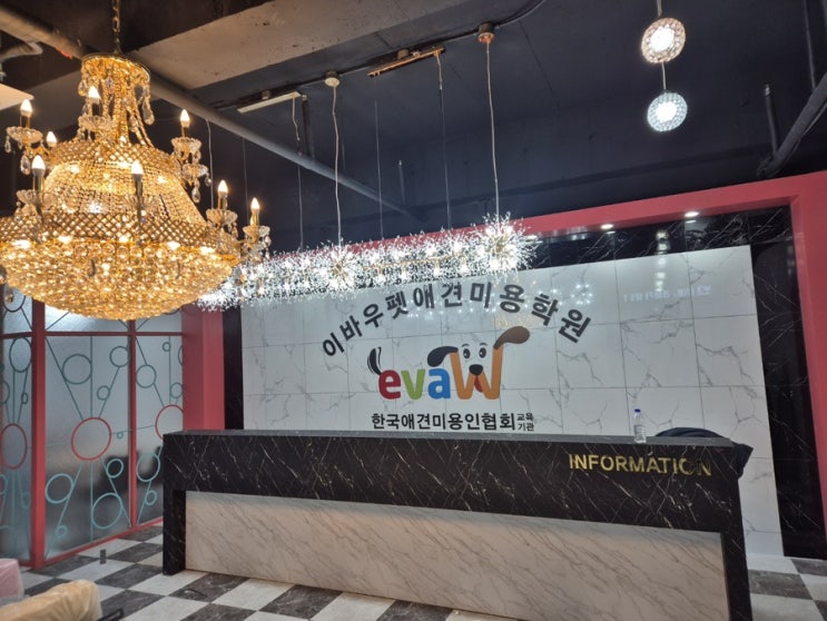  평택 이바우펫 강아지와 동반 출근 가능한 창업 방법